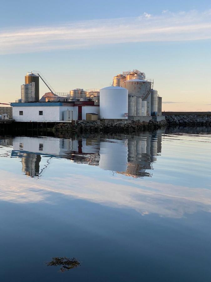 Nordlandshuset "Lottebakken", Ballstad In Lofoten Екстериор снимка